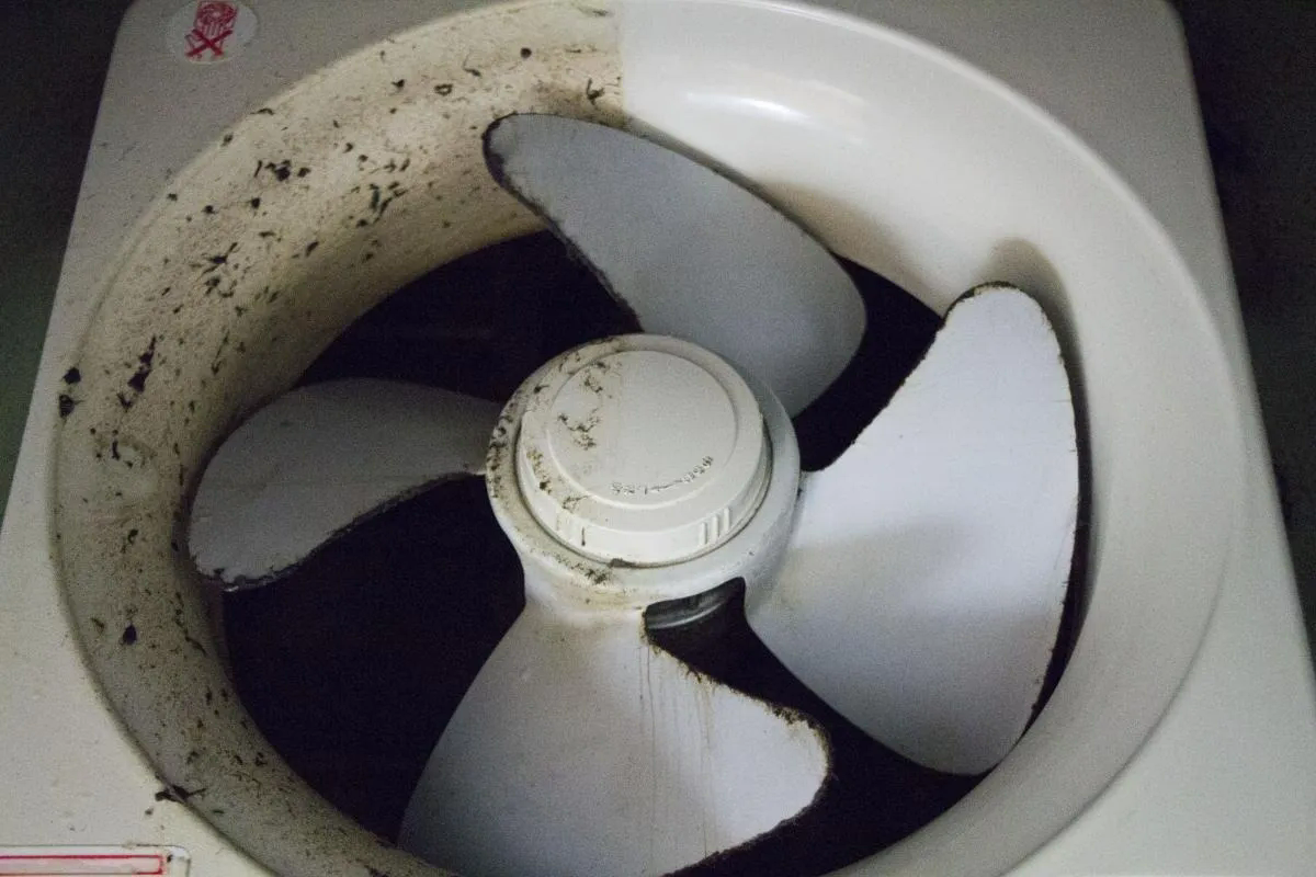 換気扇の清掃をプロに依頼する理由とその技術的な利点
